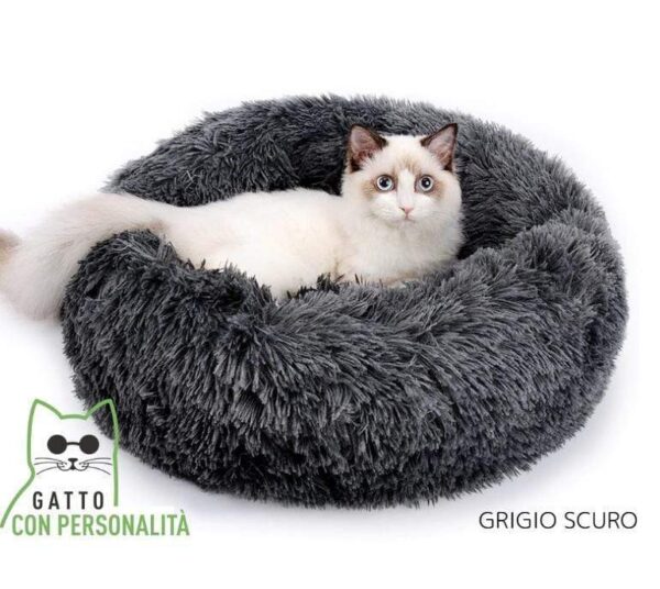 Cuccia per gatti