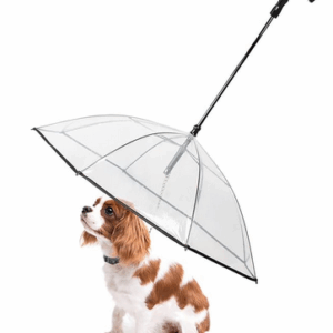 Ombrello per cani